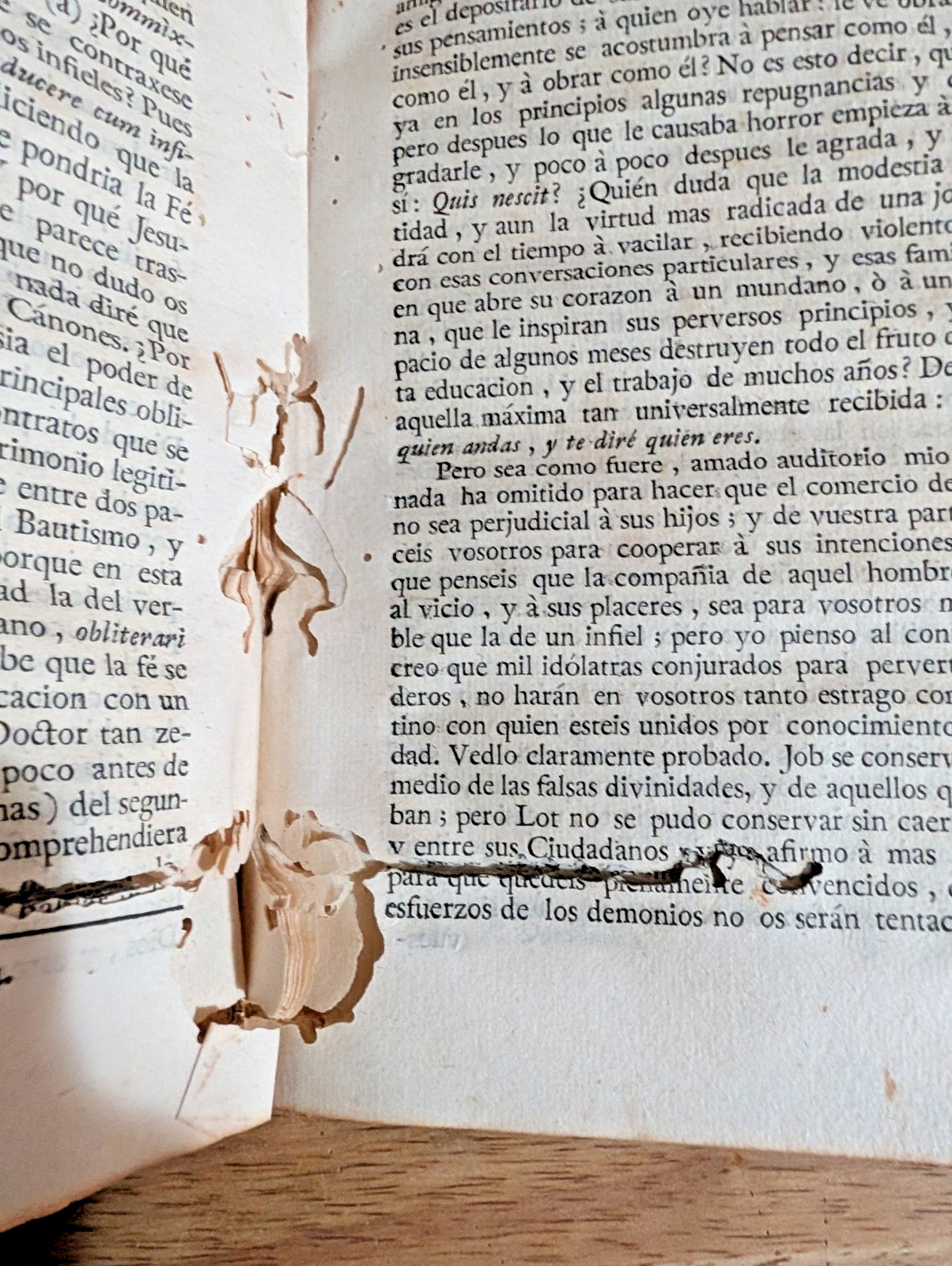 Antique Vellum Bound 1789 Theology Book of Sermons in Spanish Dominican Sisters