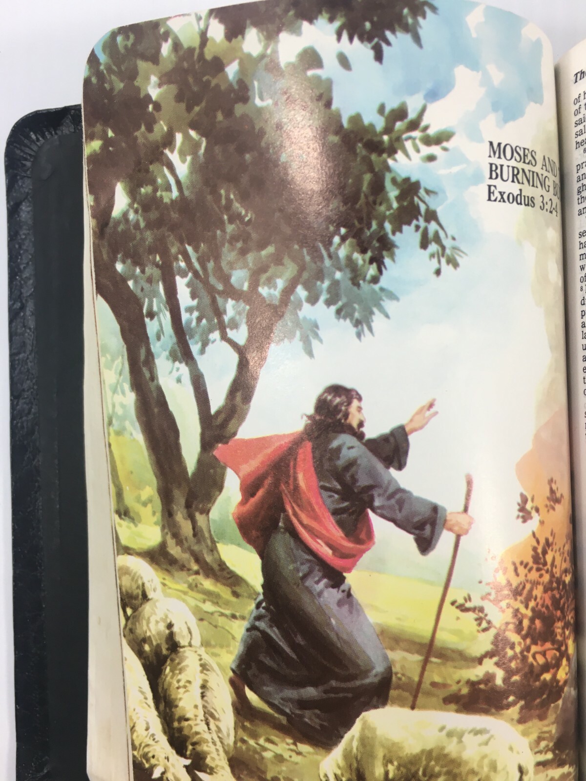 Holy Bible NAB Nelson Vintage Book 1971 Bonded Leather