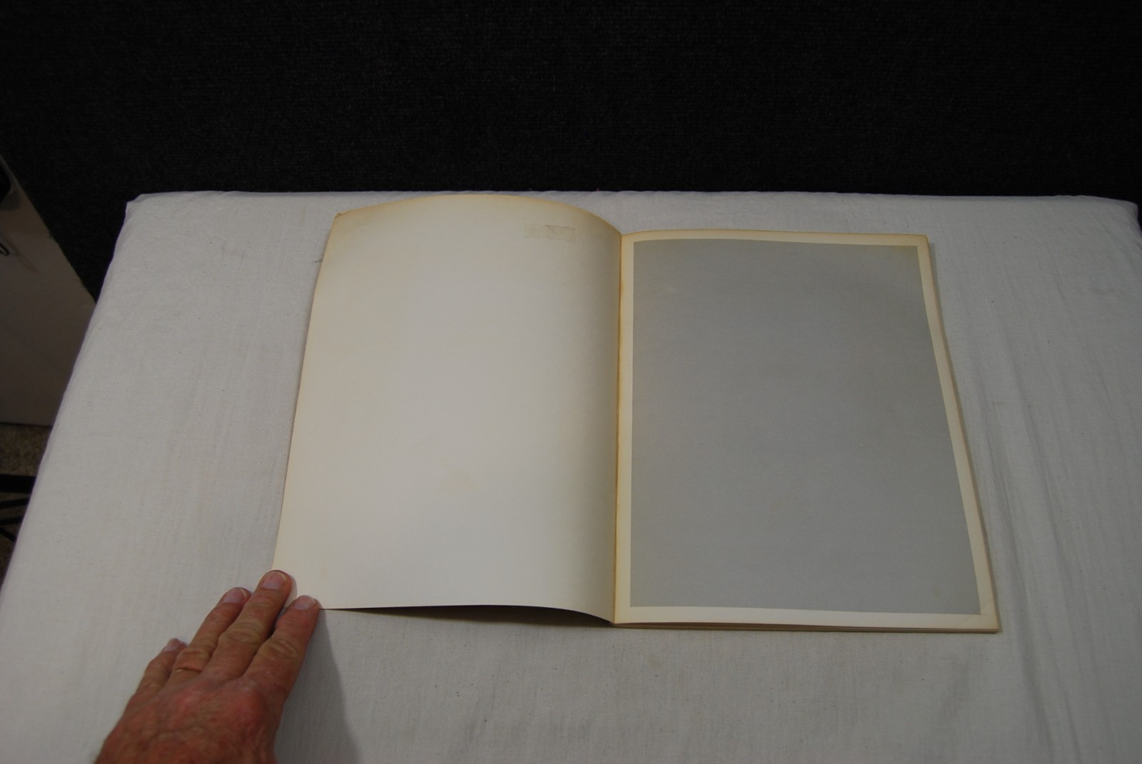 Real Fantasies, The Graphic Works of Real Musgrave by Muff Musgrave PB