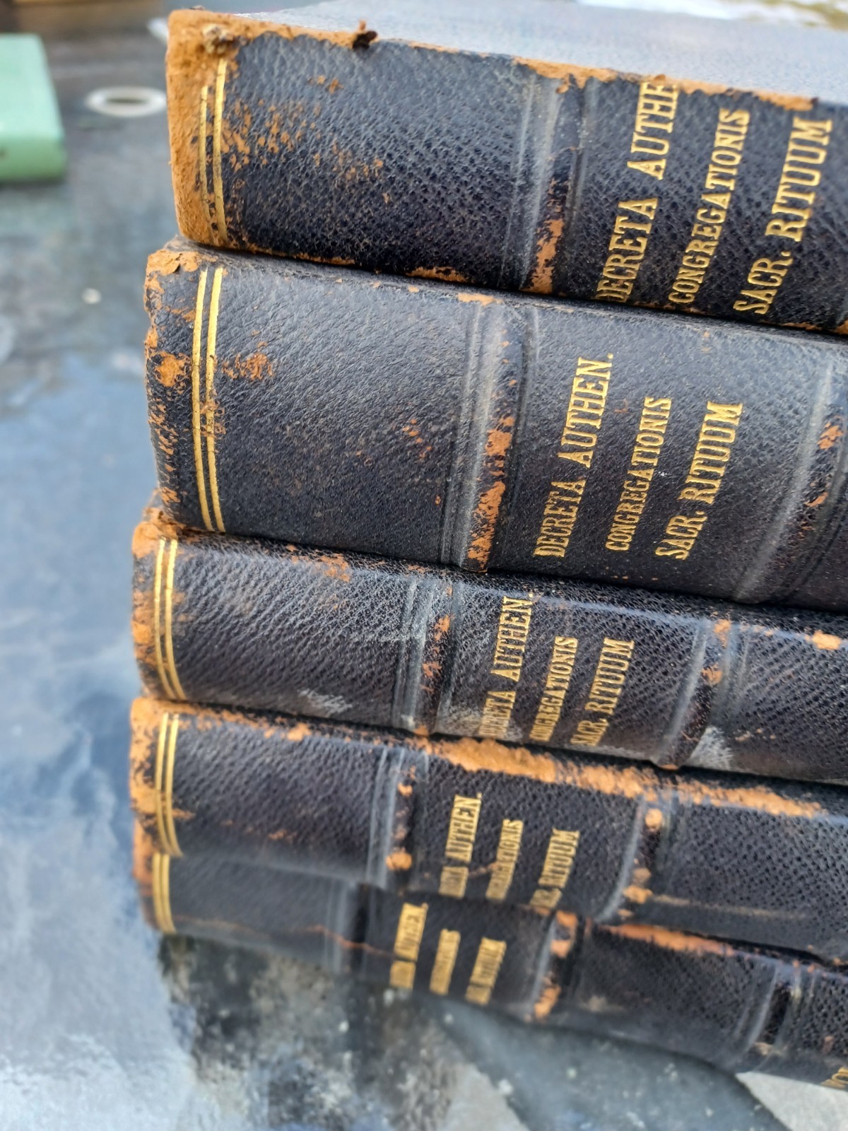 1898 Decreta Authentica Latin Decrees from the Sacred Congregation of Rites