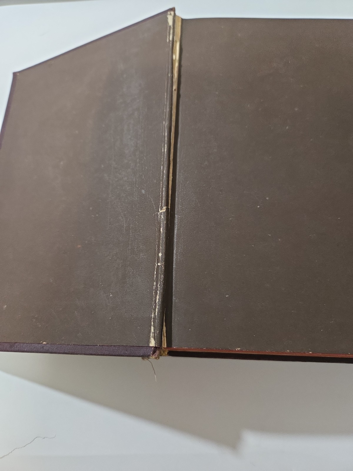 Our Deportment Manners, Conduct And Dress 1882 Book John Young Etiquette