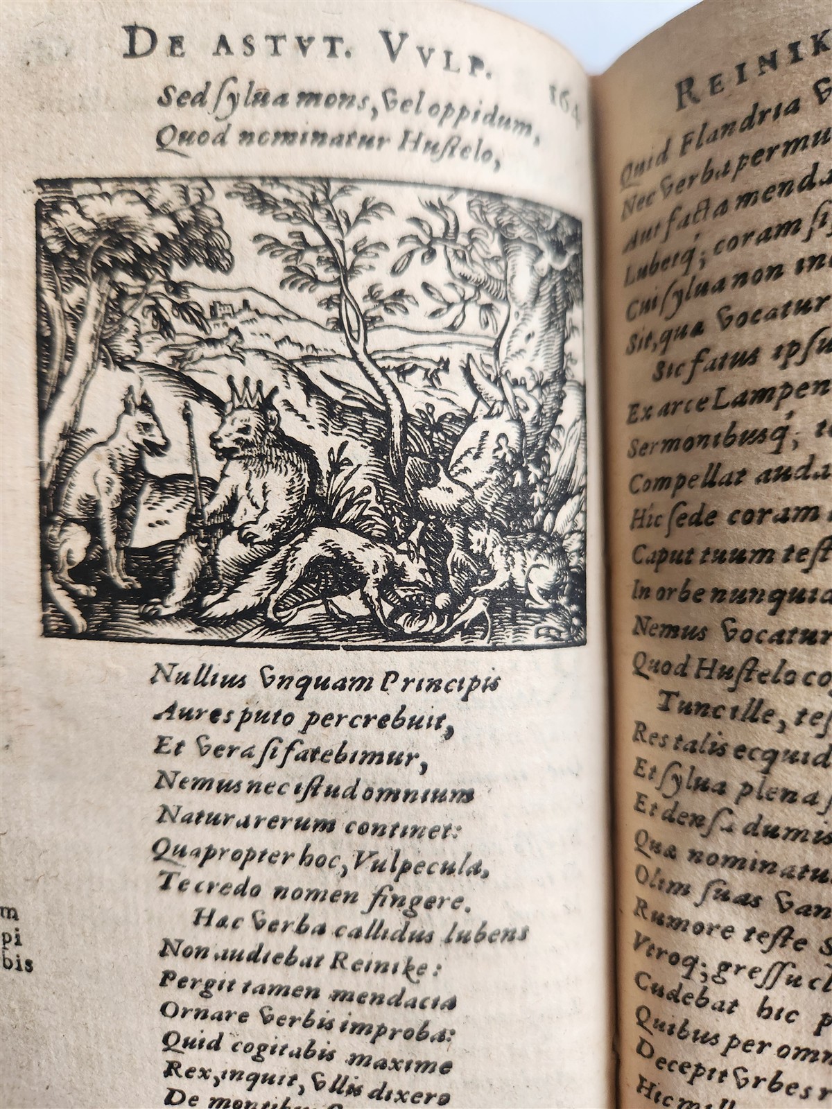 1595 REYNARD the FOX in LATIN illustrated by Jost Amman & Virgil Solis ANTIQUE