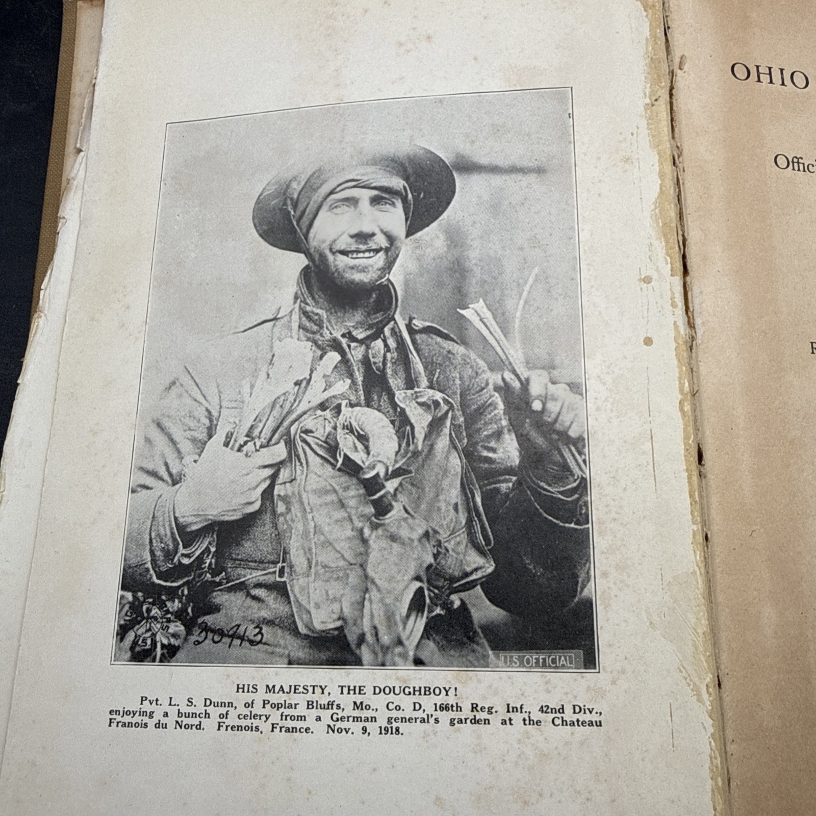 WWI Ohio in the Rainbow 166th Infantry 42nd Division HC 1924 WWI history