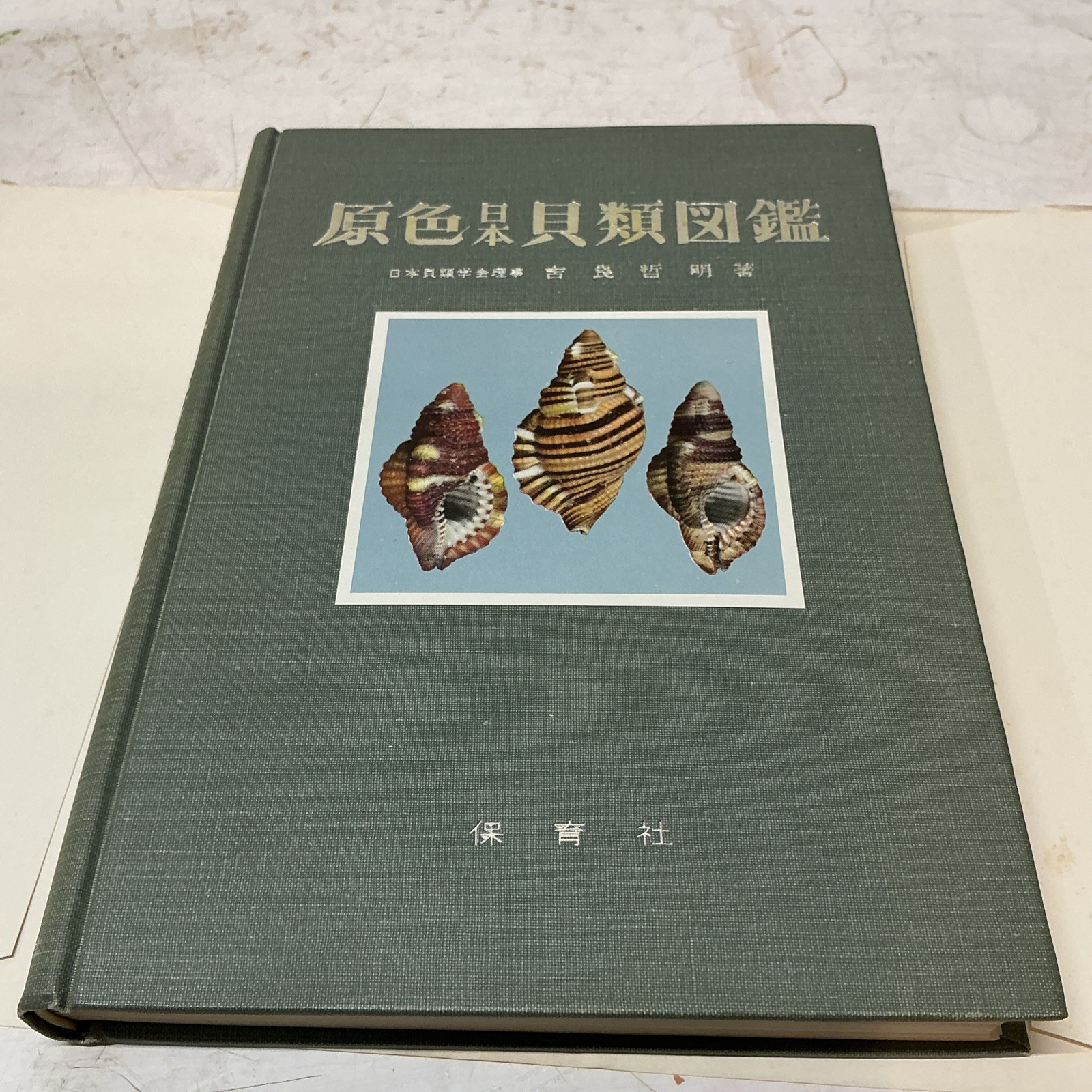 1955 Illustrated Color Guide To Japanese Shells With Slip Case/DJ In Japanese