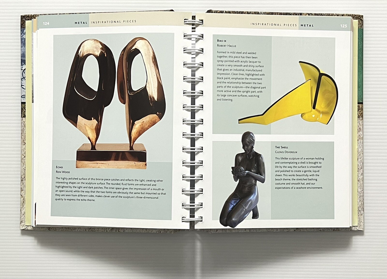 The Sculptor’s Bible by John Plowman Sculptural Surface Effects SB 2005