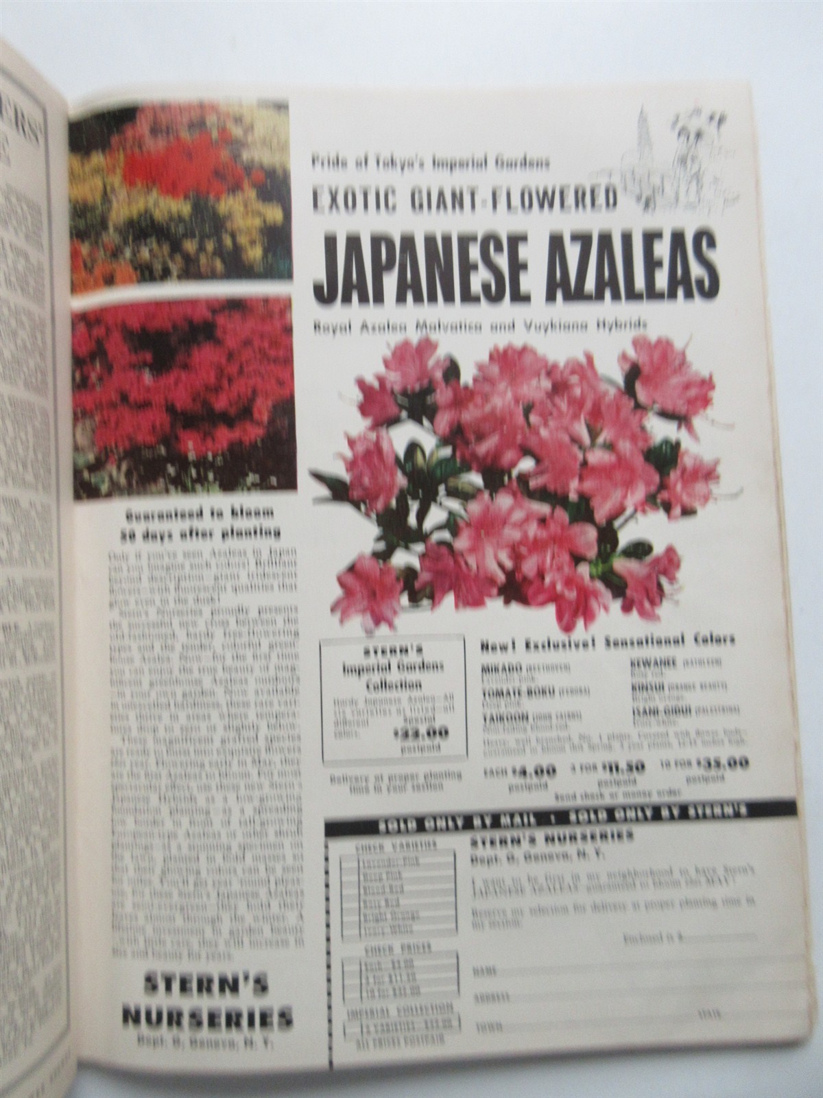 Flower Grower Magazine Vintage March 1953 Spring Planting, Better Soil