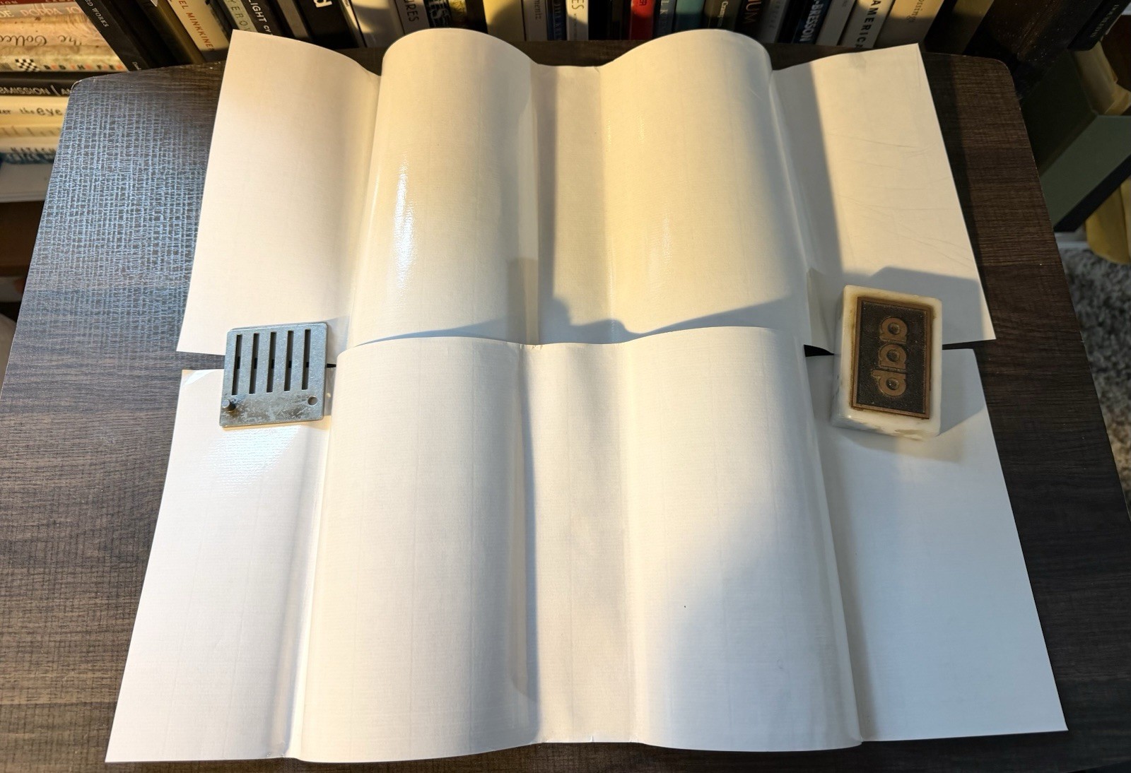 Lydia Davis / Essays One and Two / HCDJ / 1st Ed. / FSG, 2019 & 2021