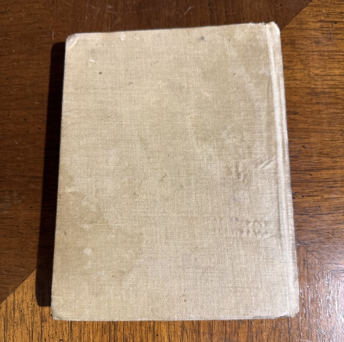 Through the Looking Glass – Lewis Carroll (Henry Altemus, 1895)