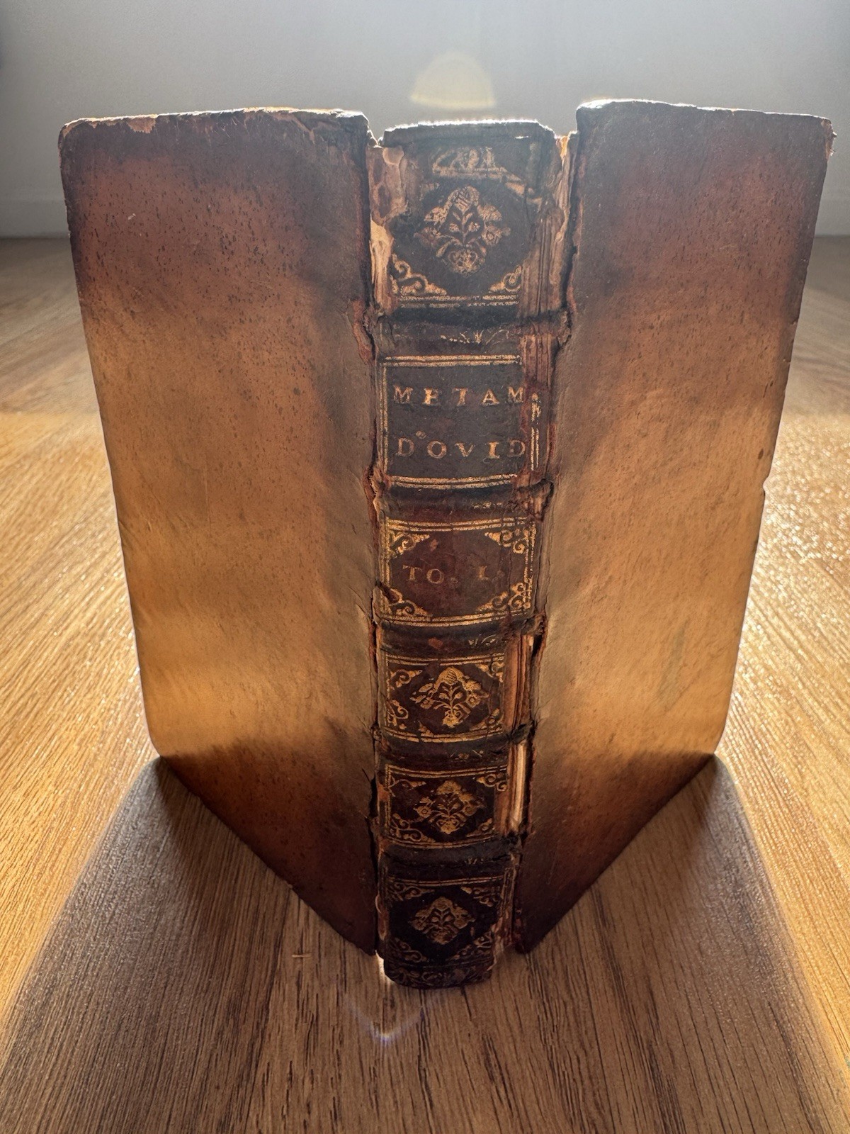 Ovid’s Metamorphoses Tome I 1693 – Rare Antiquarian Book