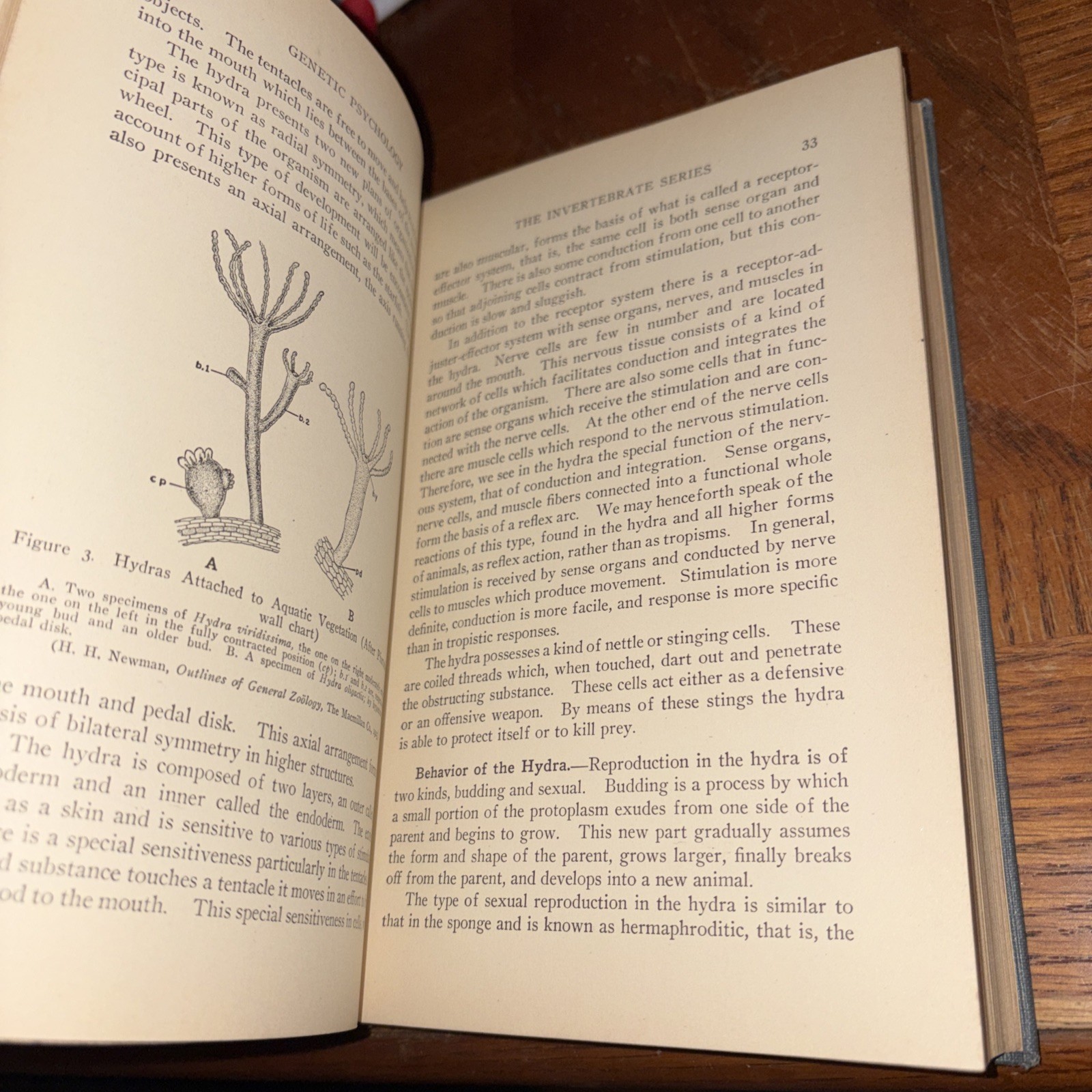 Genetic Psychology 1933 A R GILLILAND – Antique Ronald Press Illustrated