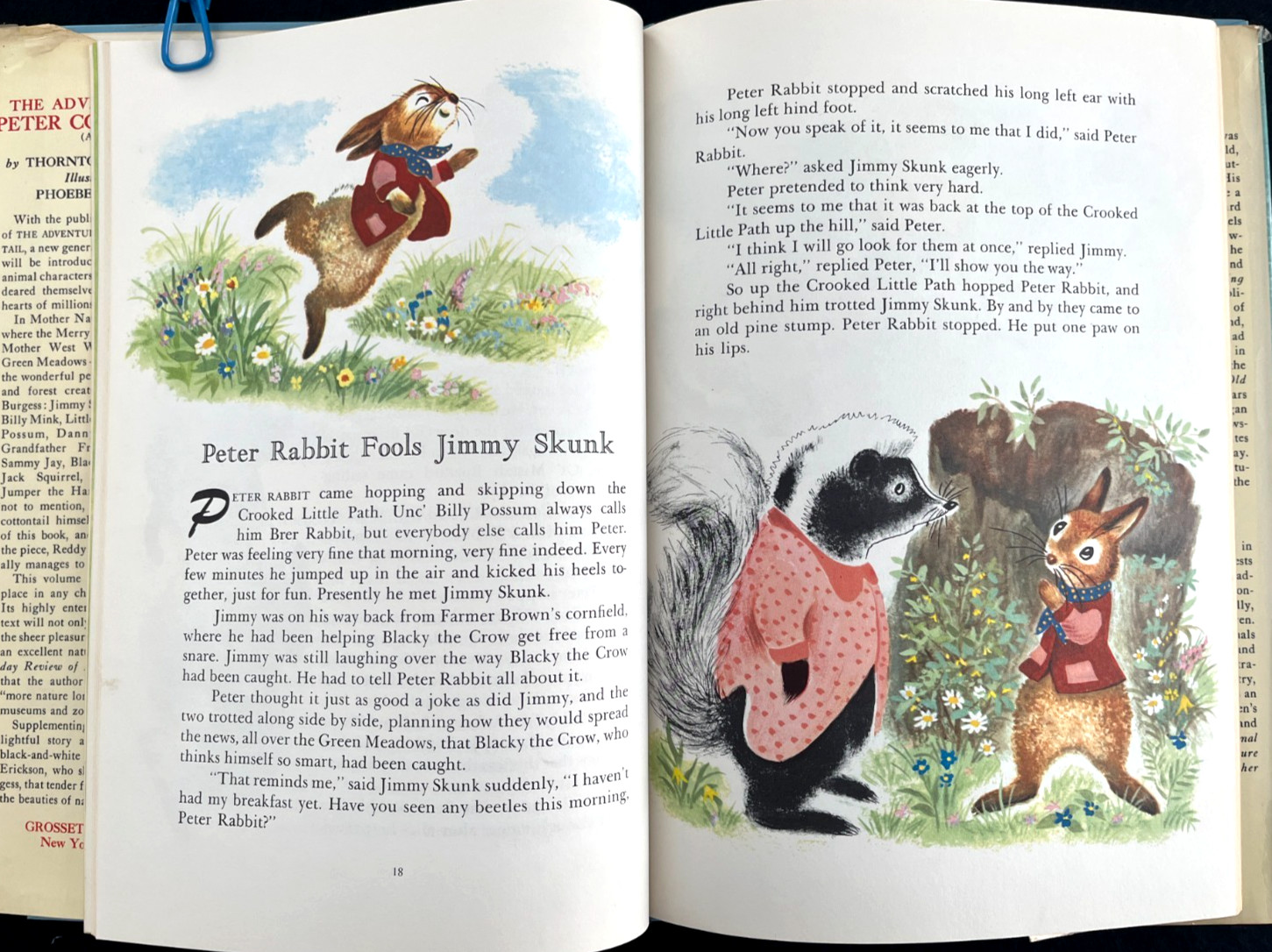 ADVENTURES OF PETER COTTONTAIL ~ large HB/DJ 1st ed. children’s book, 1958 G/VG