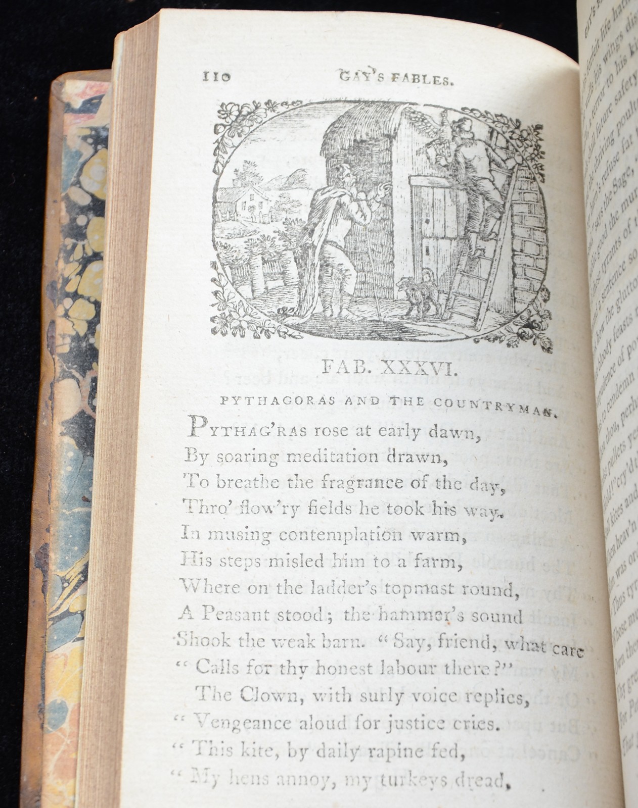 Antiquarian Book-WOOD ENGRAVING-FABLES OF MR. JOHN GAY-Bewick-Gay-1797