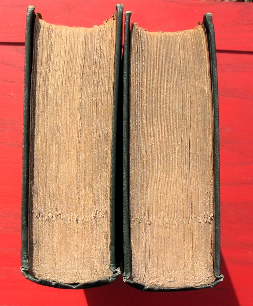 Antique Book The Middle Kingdom Samuel S. Wells William 2 Volume China Chinese