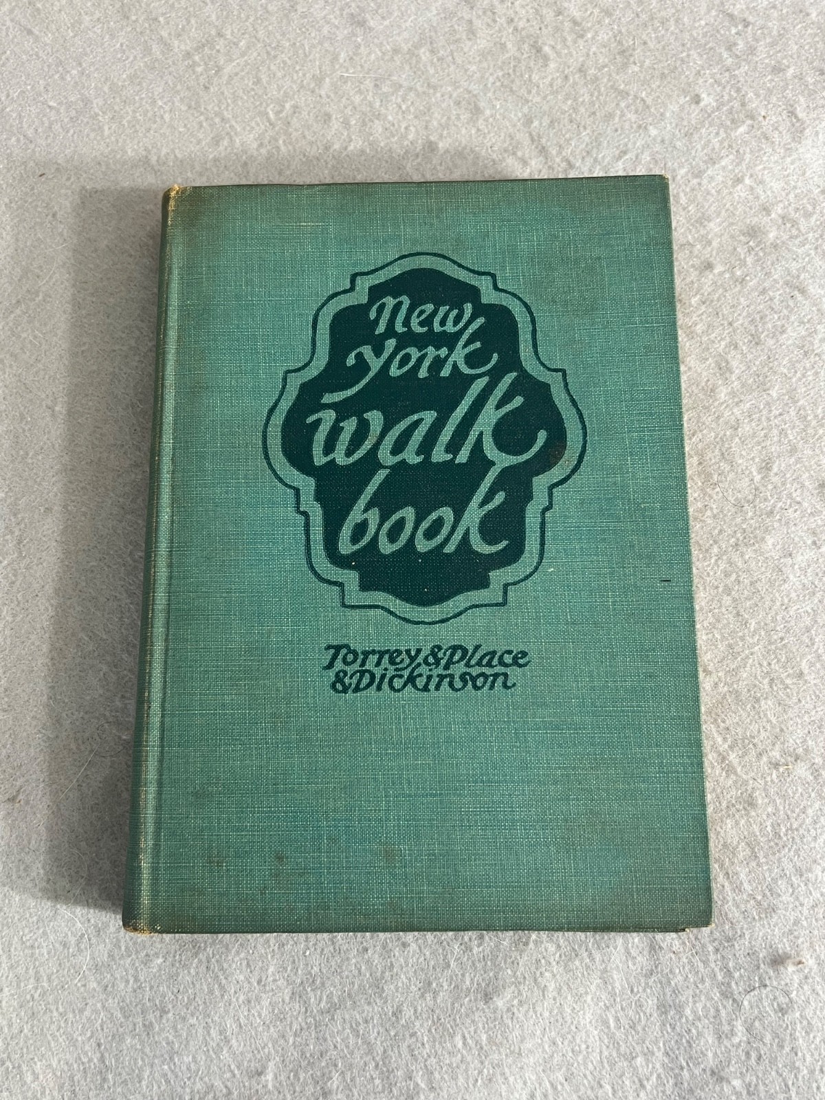 Antique New York Book NY Walk Book New York City Hudson Long Island w/Maps 1936