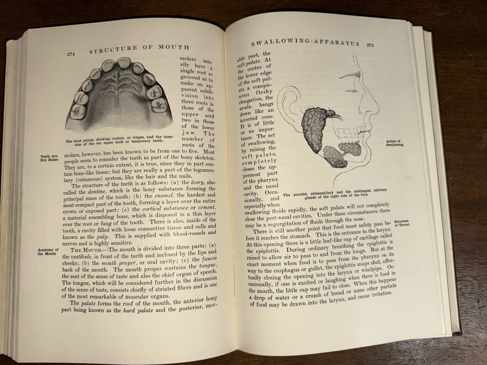 Bernarr McFadden Encyclopedia of Health Volume 1-8 Full Set With Wooden Box 1933