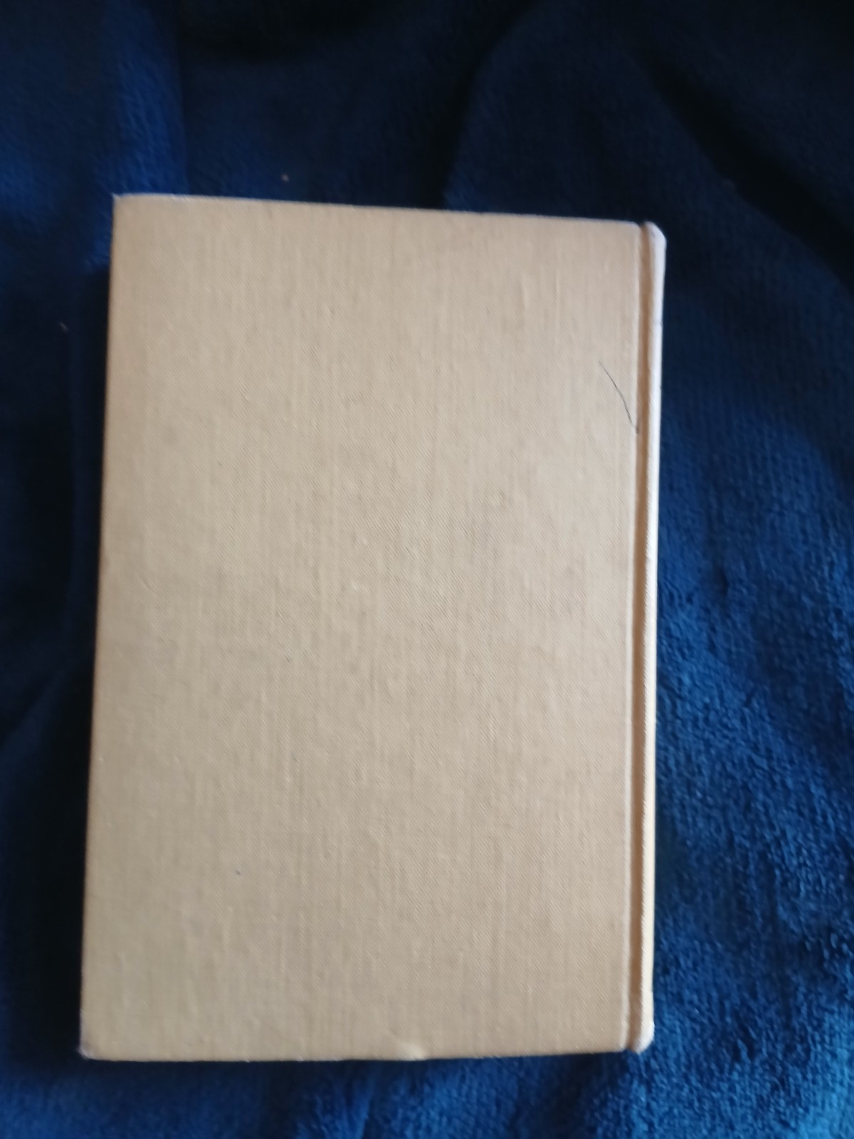 The Mountain Of Adventure Enid Blyton 1949 (36)