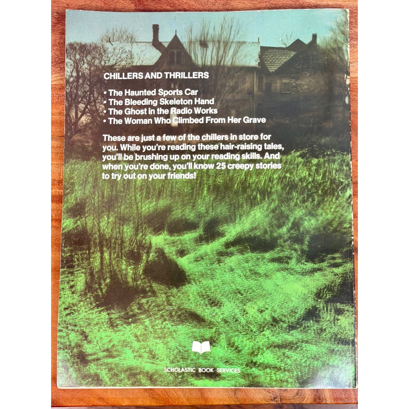 Chillers and Thrillers Scholastic Scope Reading Skills 4 Vintage Horror TV VTG