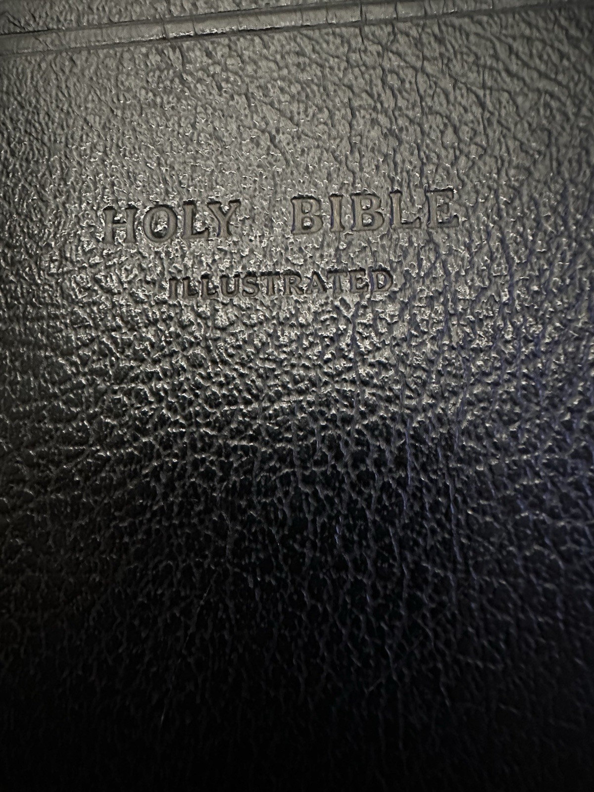 Vintage Holy Bible KJV World Publishing Illustrated Leather Zipper Red Letter
