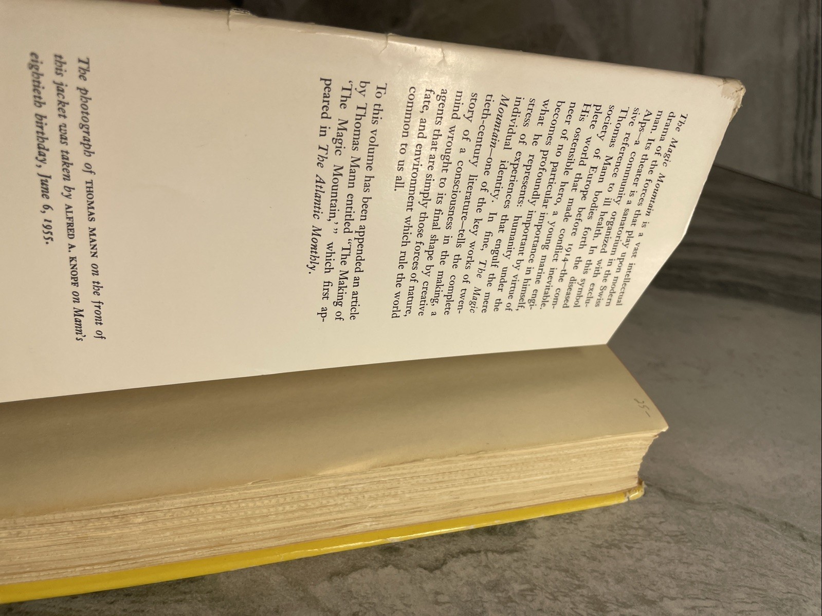 The Magic Mountain Thomas Mann HC DJ VTG 1961