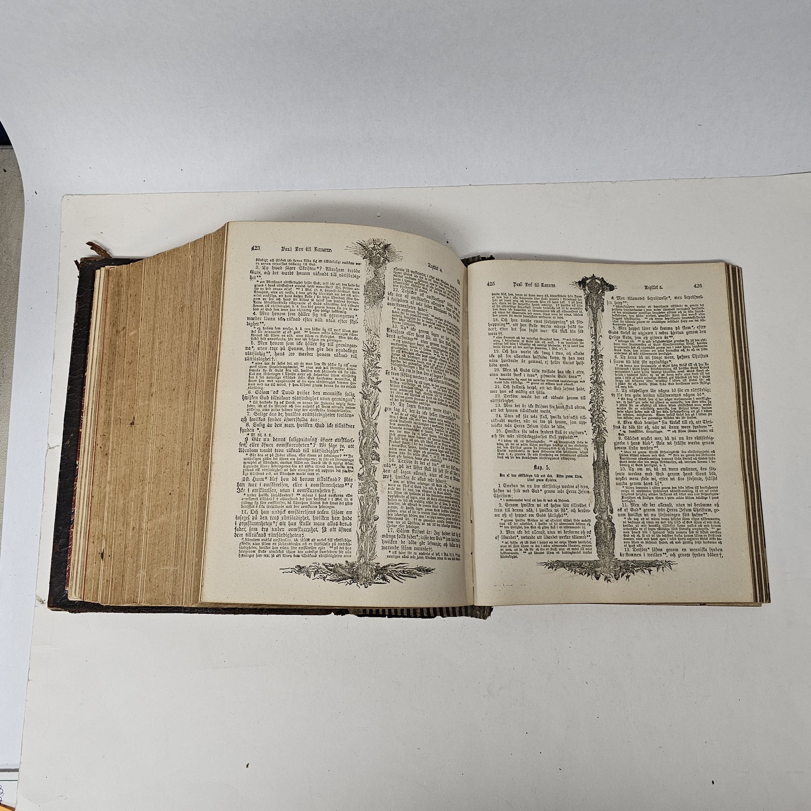 1889 Den Heliga Skrift Swedish Bible Gustave Doré Illustrations Antique