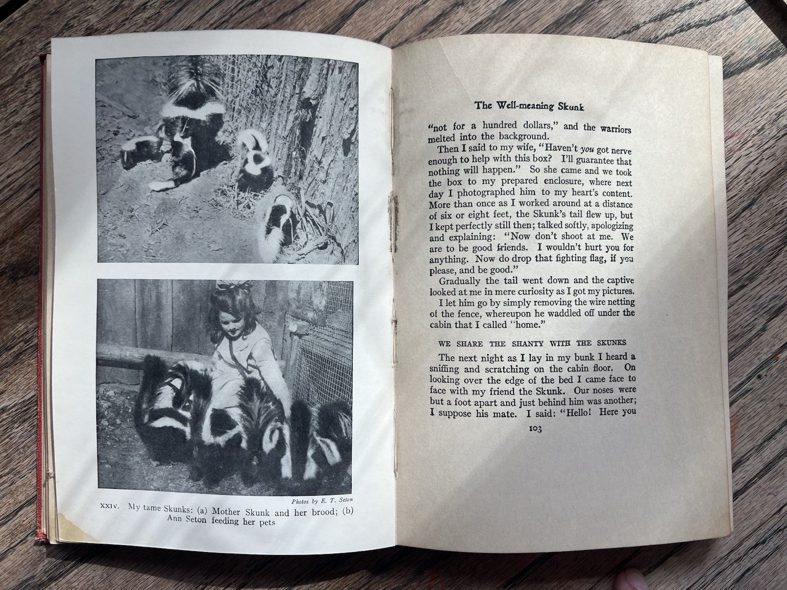 1913 Classic ‘ Wild Animals at Home’ by Ernest Thompson Seton