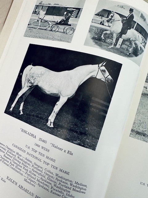 Arabian Horse Yearbook 1966 IAHA Vol XIV Arabian Horse Books / Memorabilia