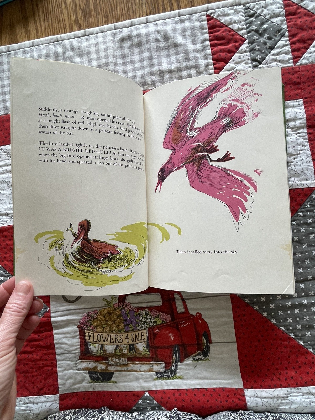 Ramon And The Pirate Gull, Puerto Rico, Robert Barry, Vintage HC Children’s