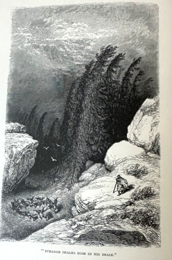 Hippolyte TAINE & Gustave DORÉ / Tour Through the Pyrenees 1st Edition 1874 HOLT