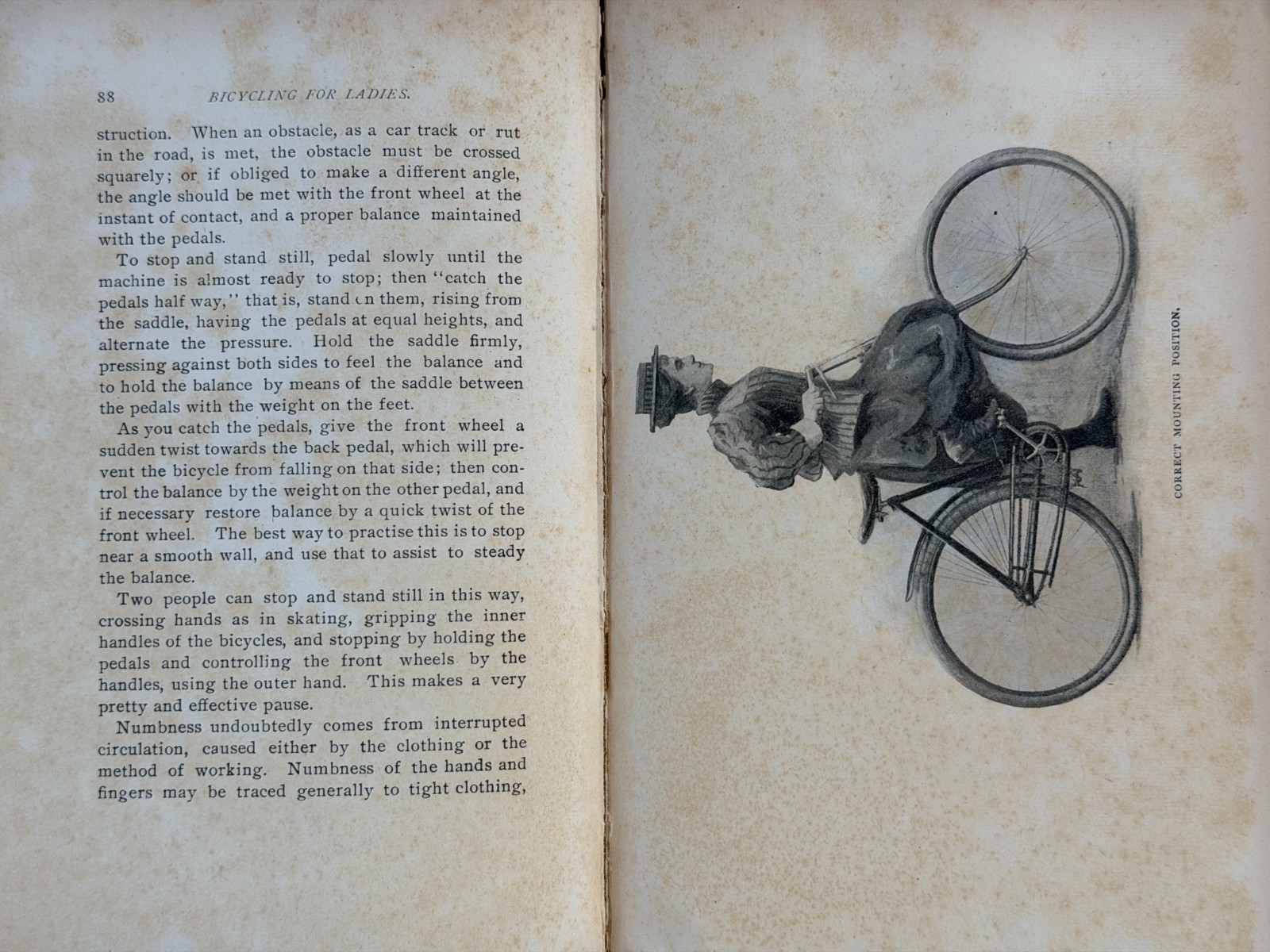 1896 Bicycling For Ladies Maria Ward 1st Ed. Alice Austen Bicycle Cycling ~ RARE