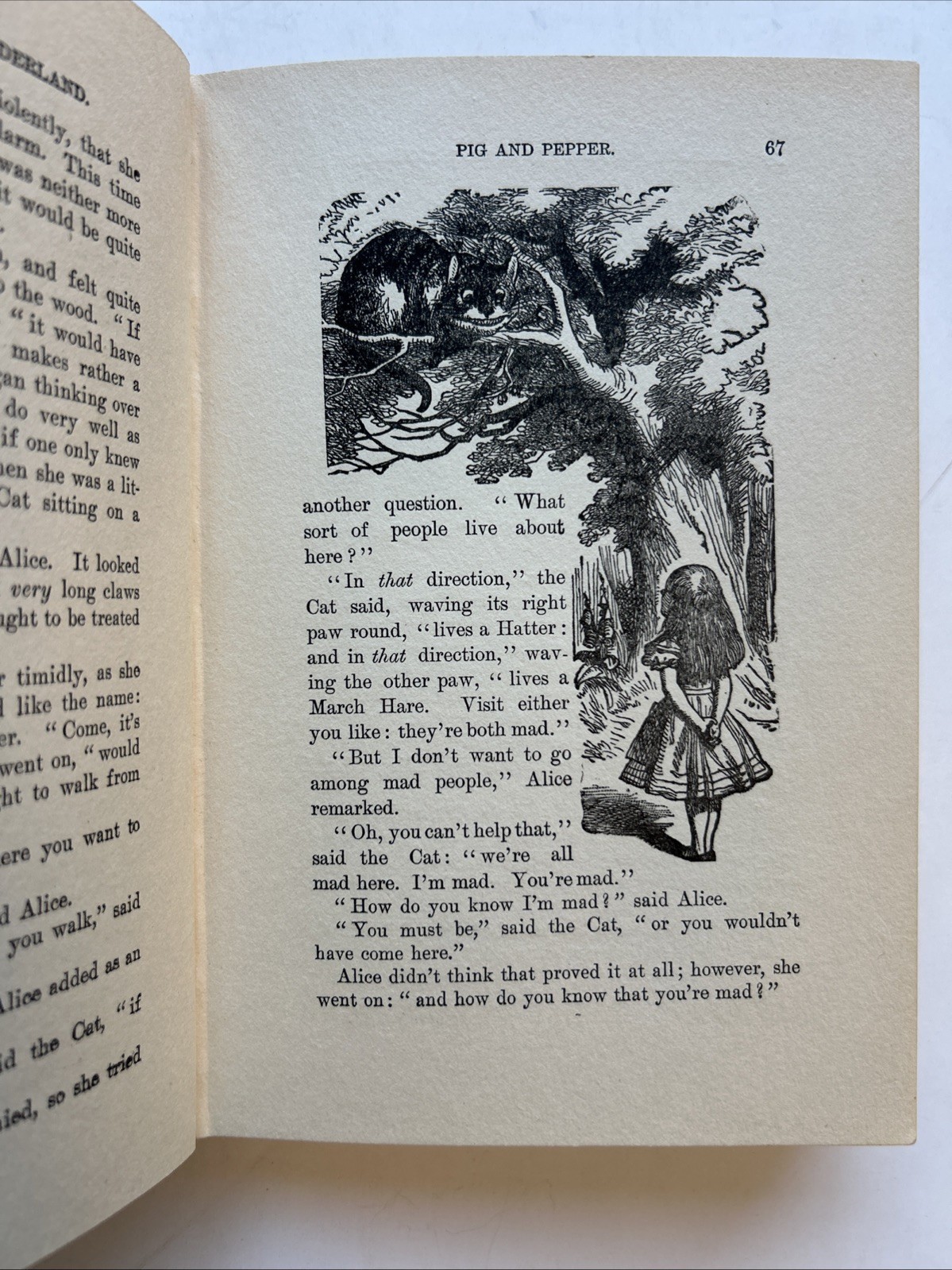 Alice in Wonderland Hurst & Co Chromolithograph Plates c.1900 Antique Book