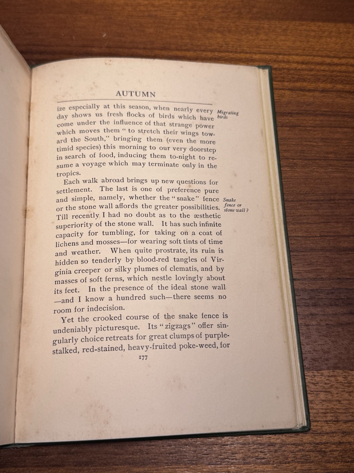 According to Season by Frances Theodora Parsons Antique Flower Book 1902 Plants