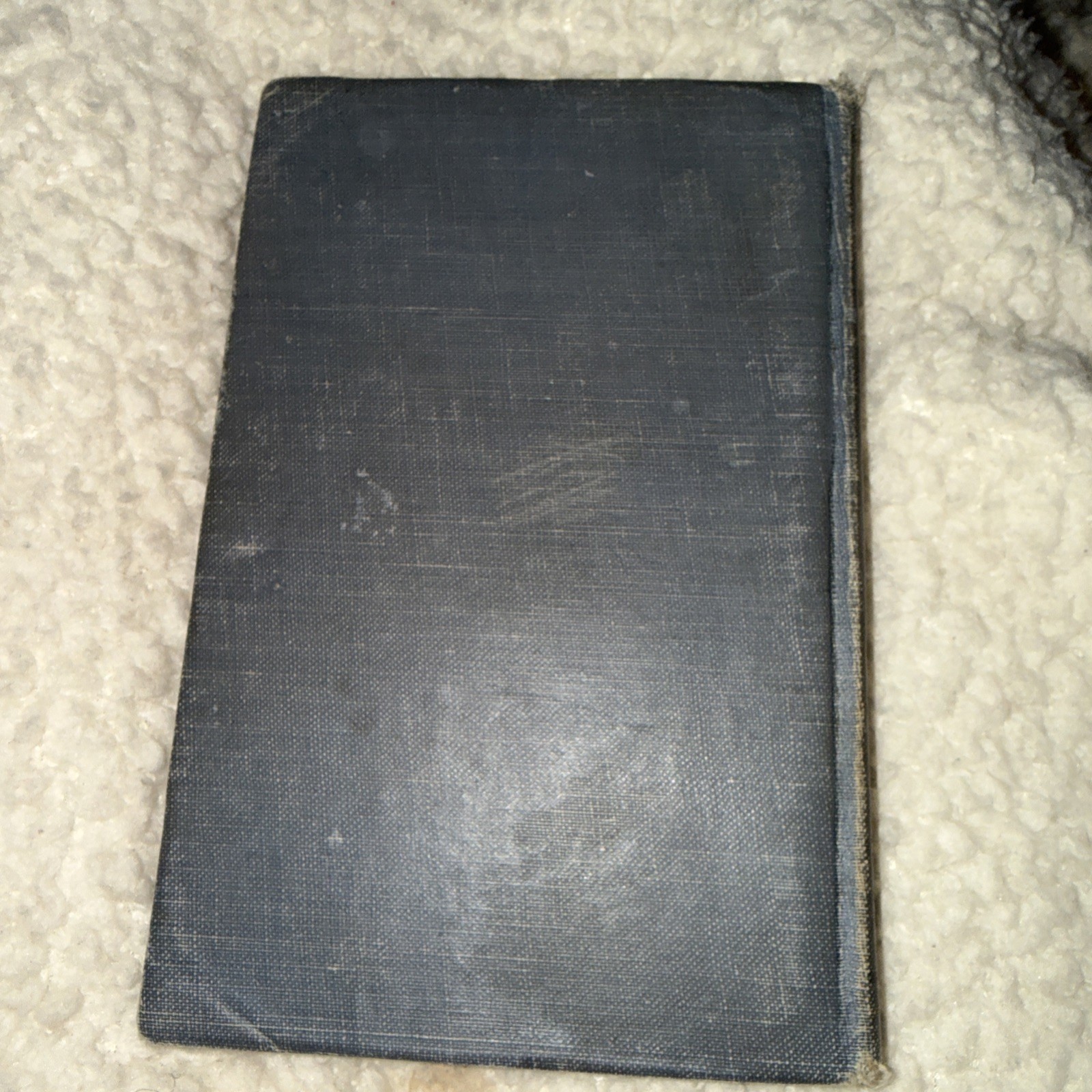 Antique Treasure Island Lake English Classics Stevenson Broadus 1919 Book