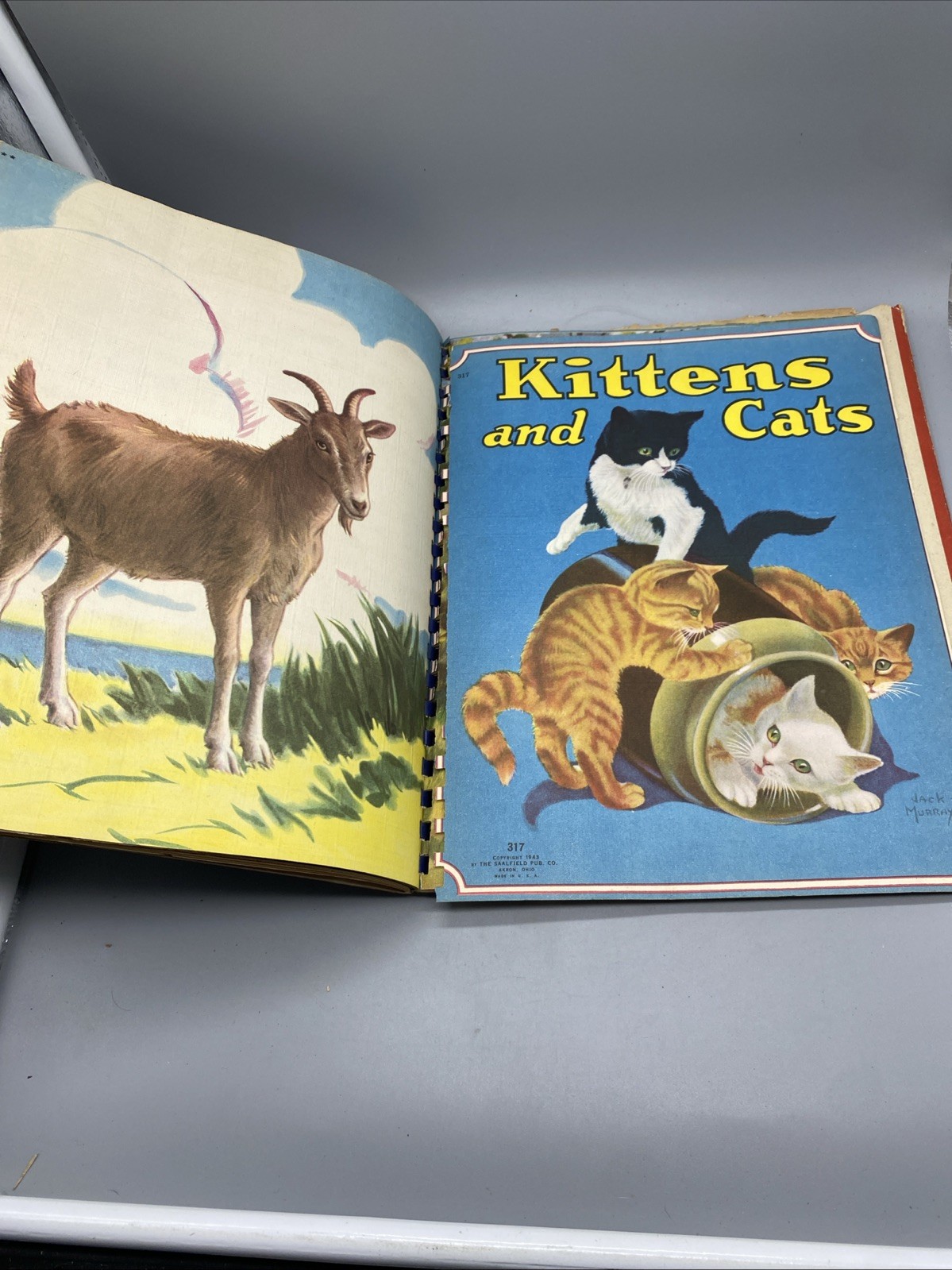 Picture Story Book 1943 Saalfield Various Animals HC DJ Spiral Beautiful Artwork