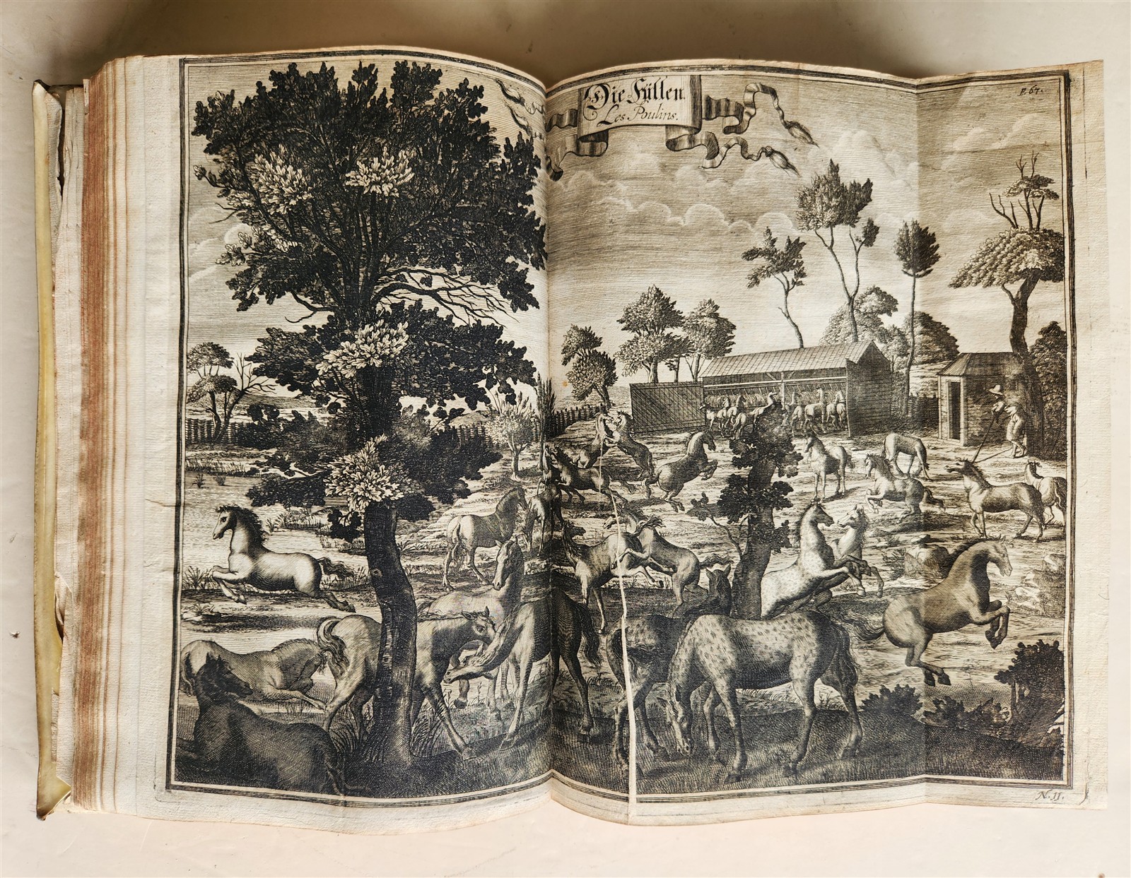 1603 Disquisitionum magicarum by Martin DEL RIO antique MAGIC TREATISE FOLIO