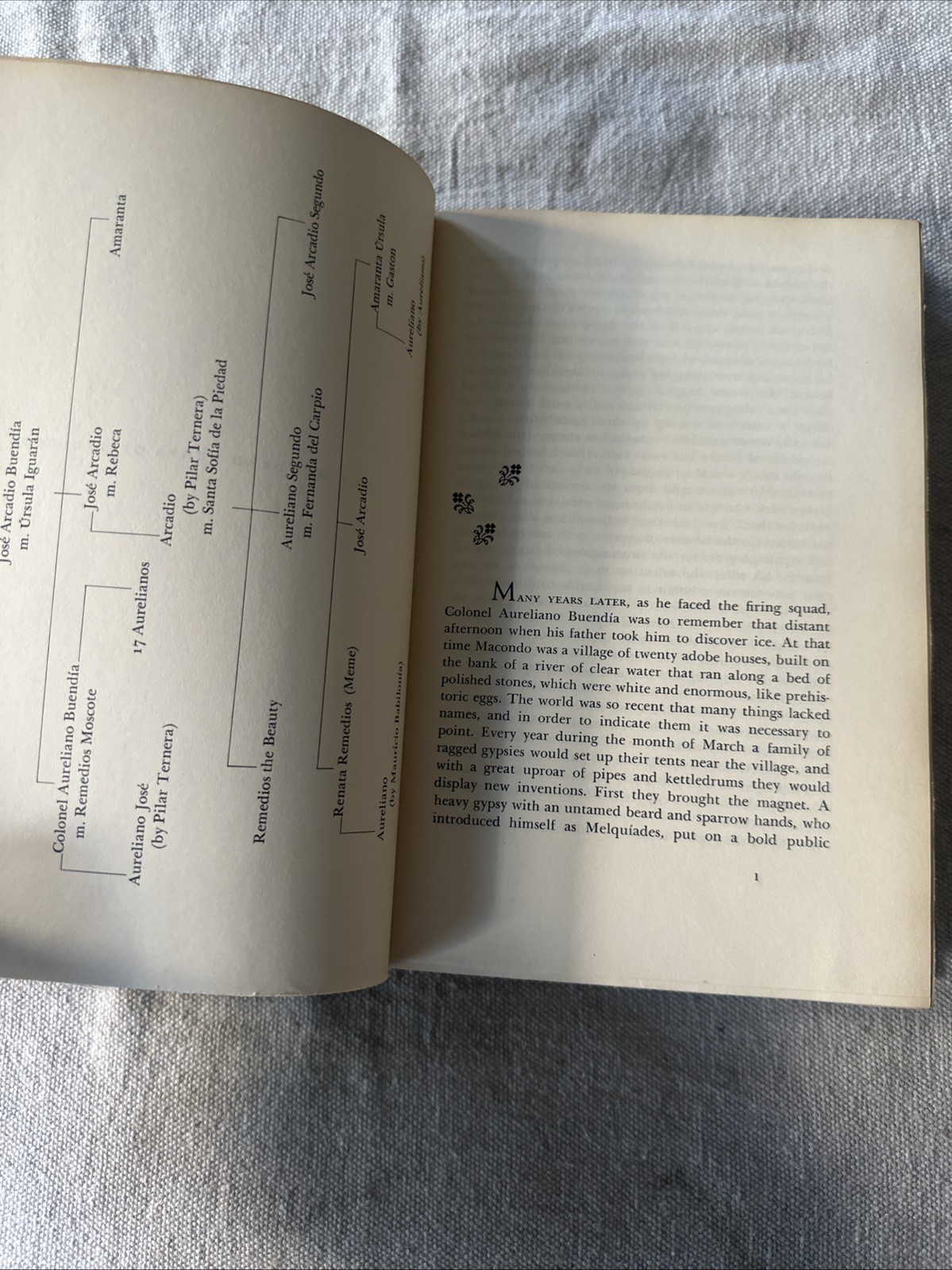 One Hundred Years of Solitude Gabriel Garcia Marquez TRUE First Edition 1970