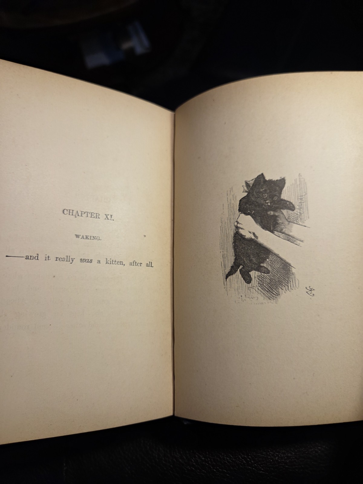 Through The Looking Glass Lewis Carroll, 1881, Illust. John Tenniel