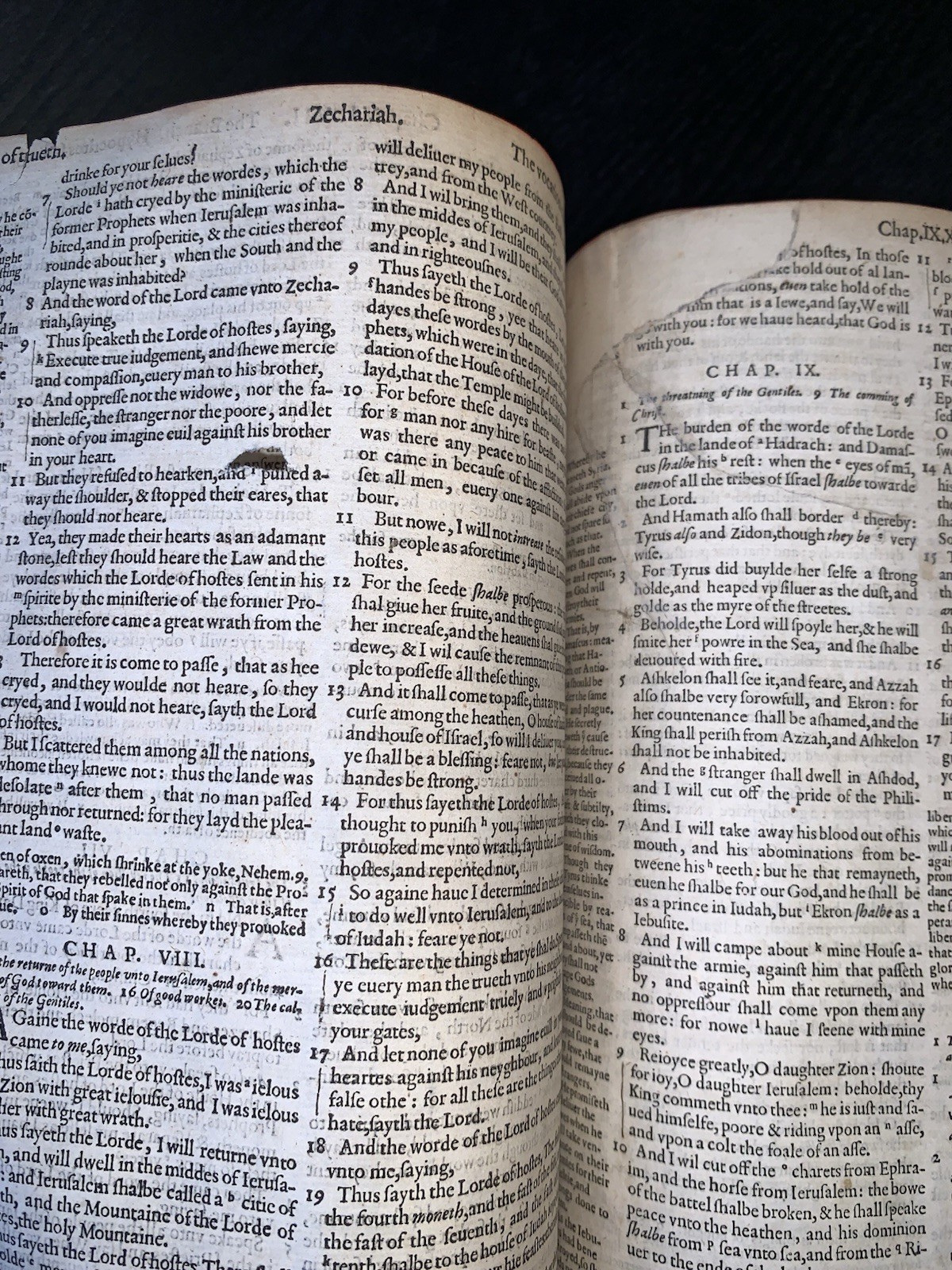 1582 FOLIO GENEVA BIBLE Stunning New Binding MUSEUM QUALITY Wow !!!!