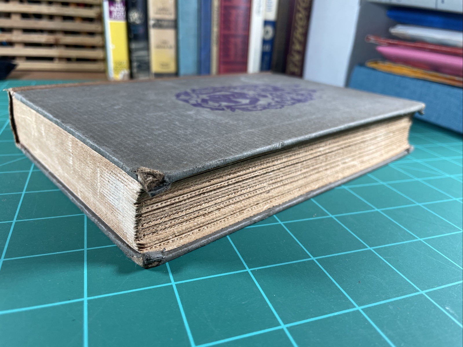 Vintage 1928 Book THE DEVIL by Alfred Neumann ~ Hardcover Alfred A Knopf