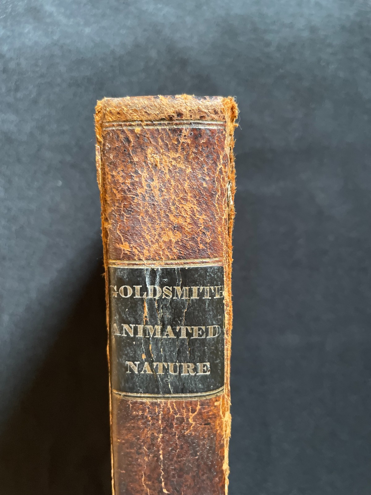 Antique Oliver Goldsmith “History of the Earth & Animated Nature” Vol. 1 (1823)