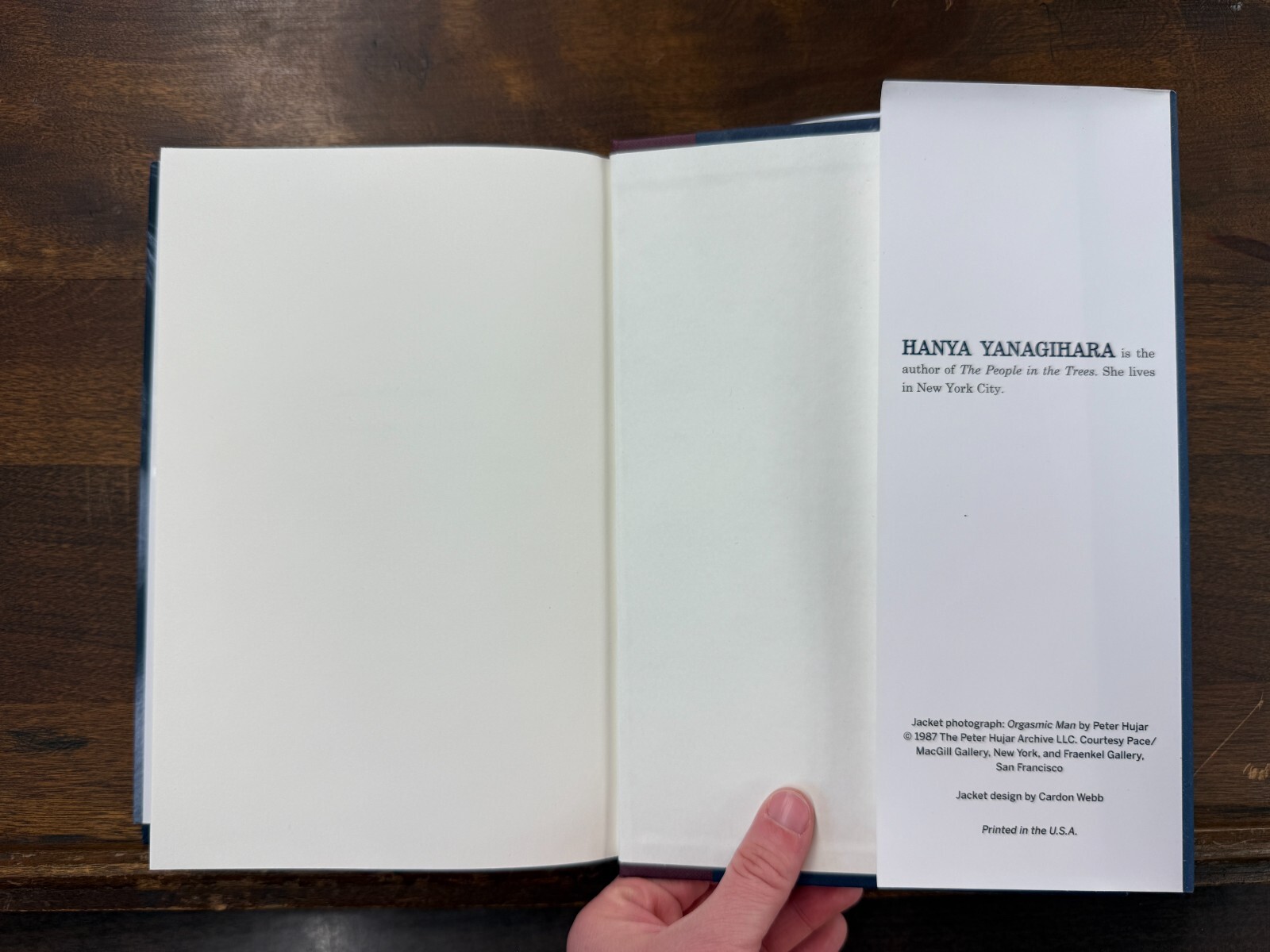 A Little Life Hanya Yanagihara First Edition SIGNED HCDJ (Doubleday, 2015)