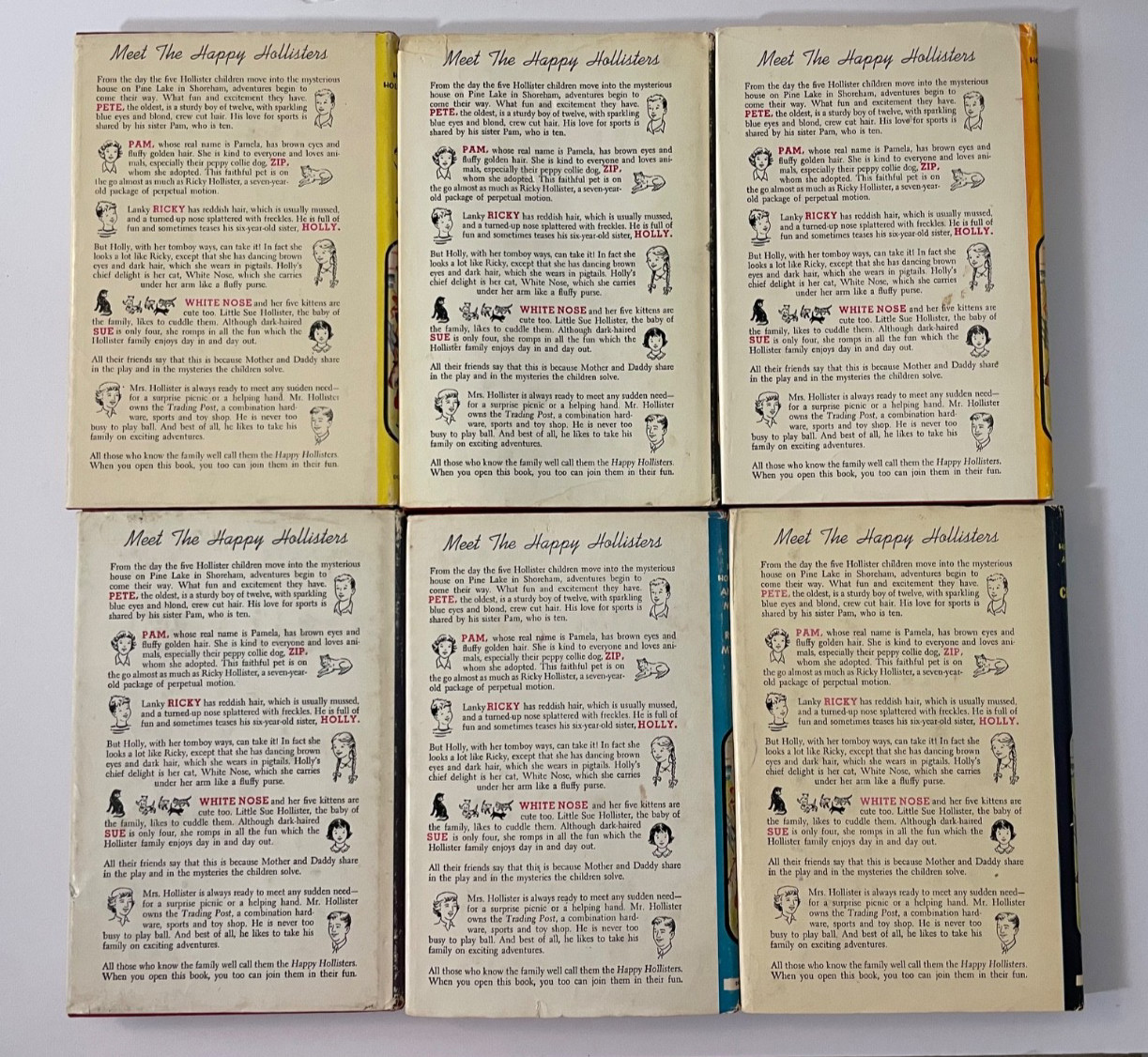 The Happy Hollisters set of 6 including Book #1 Vintage Children’s Series