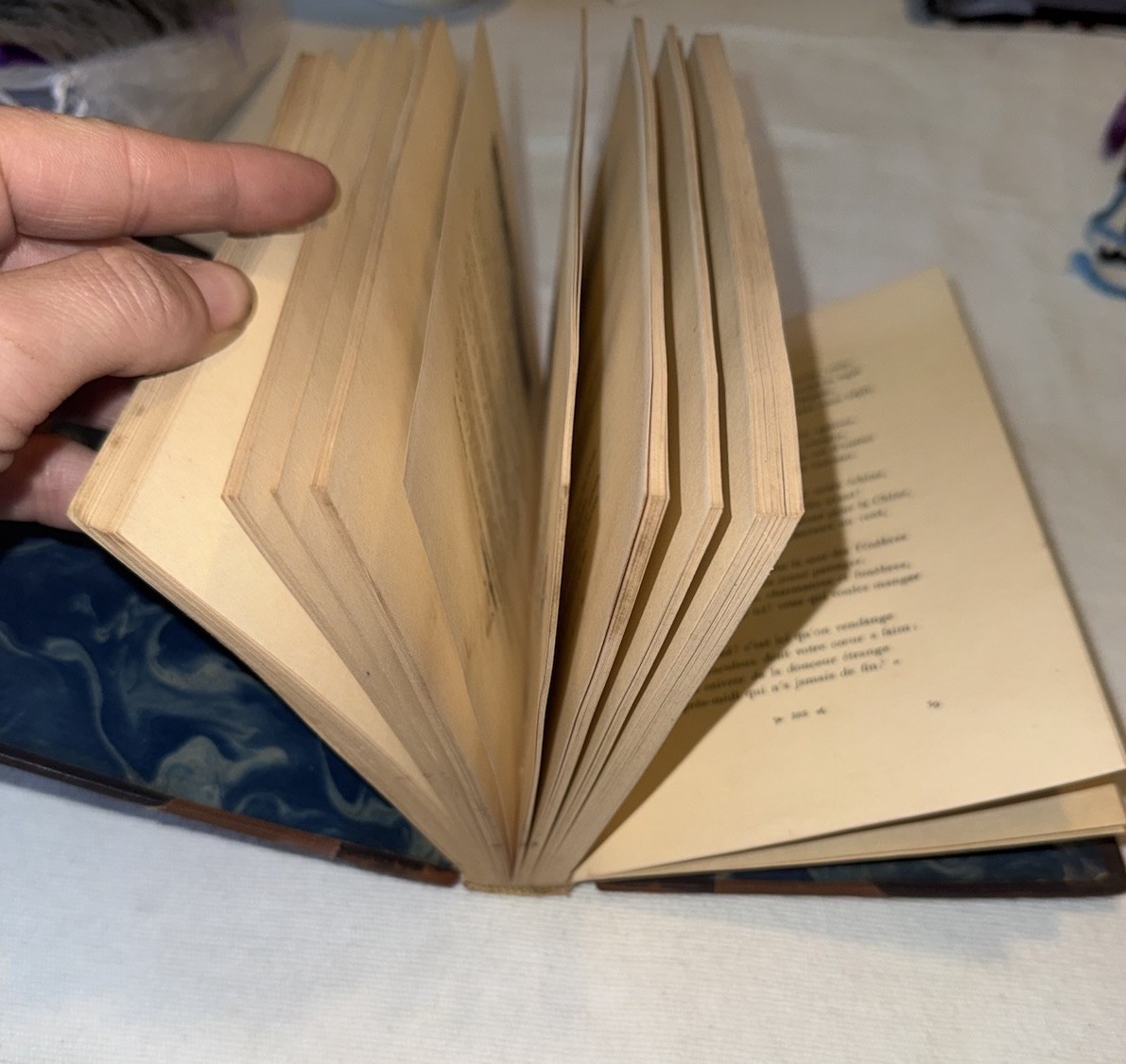 RARE1928 Les Fleurs du Mal Baudelaire Ferroud IllustratedCOMPLETE French Edition