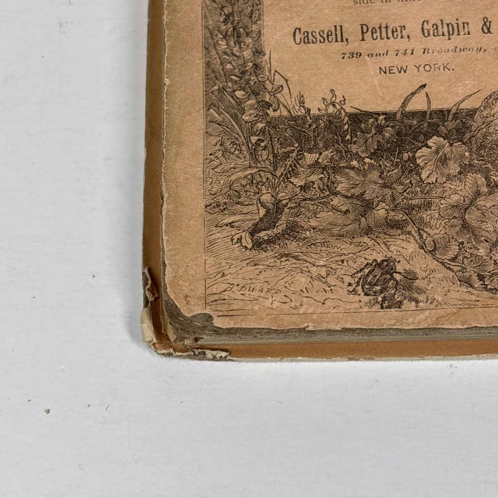 Half Hours with the Early Explorers by Thomas Frost c1887 hardback
