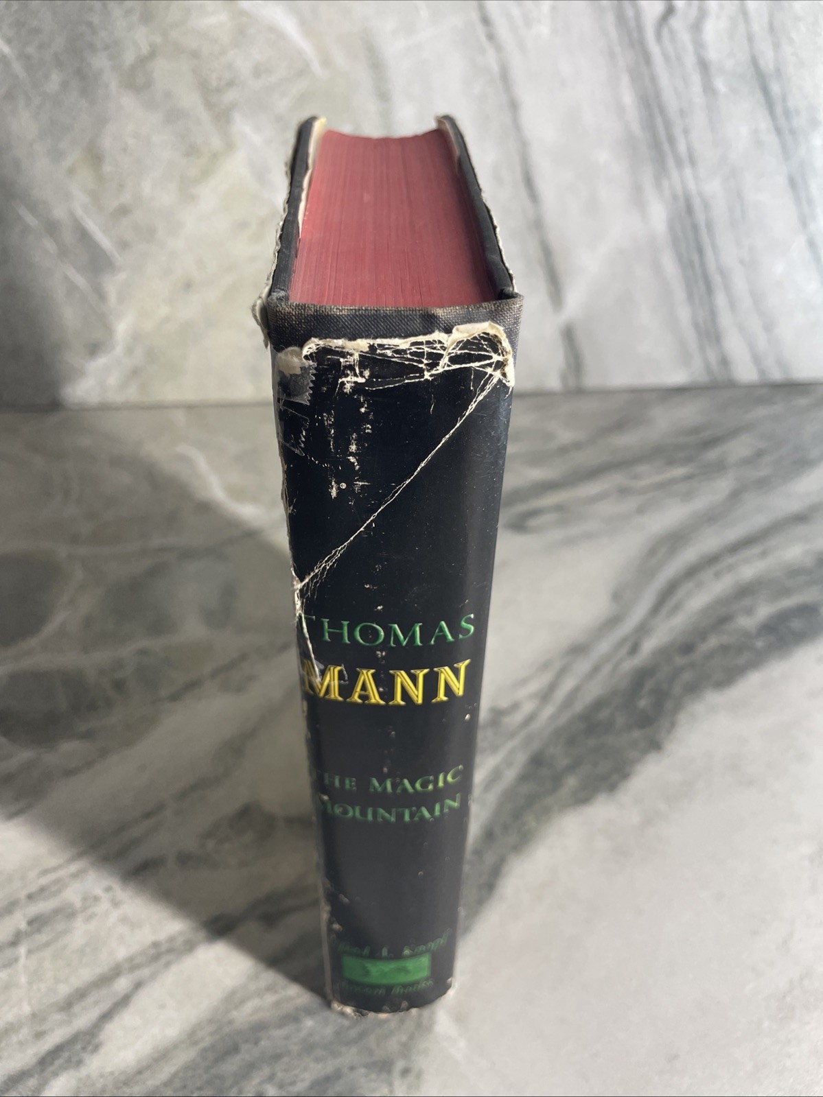 The Magic Mountain Thomas Mann HC DJ VTG 1961