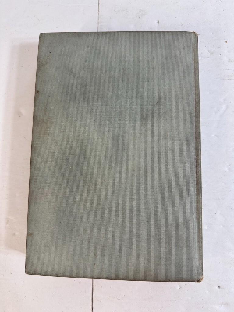 Zelda Dameron by Meredith Nicholson – 1904 Complete 1st Edition Bobbs-Merrell HC