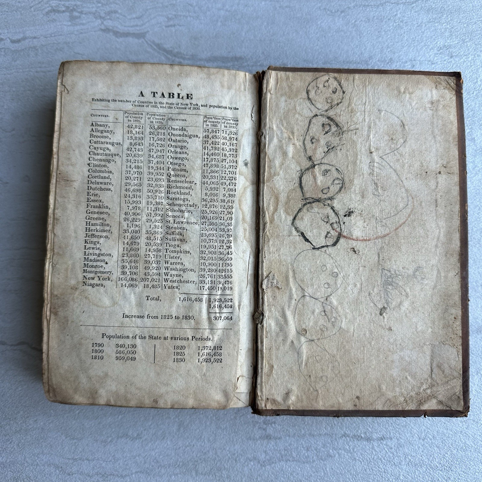 1831, History Of The State Of New York, Eastman, Illustrated Leather Bound