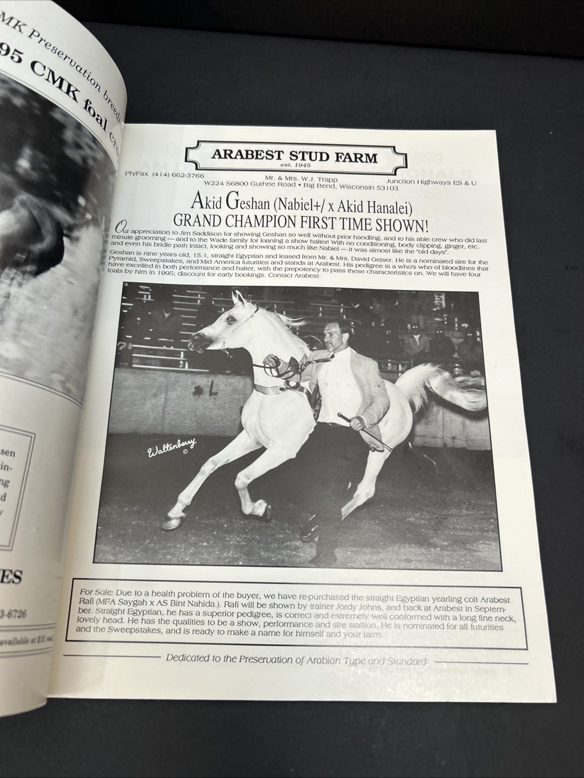 Arabian Visions Magazine Horse September- October 1995 Vintage