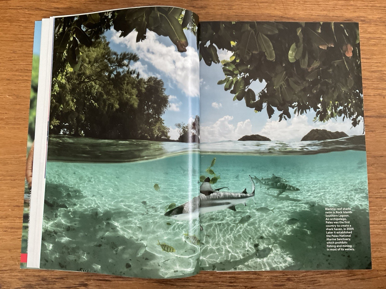 National Geographic Magazine~2024 July~indigenous futures~stewardship~culture
