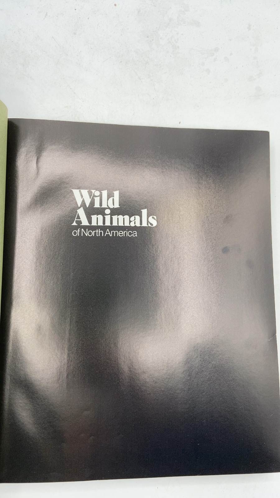 Wild Animals of North America Hardcover Revised Edition 1987