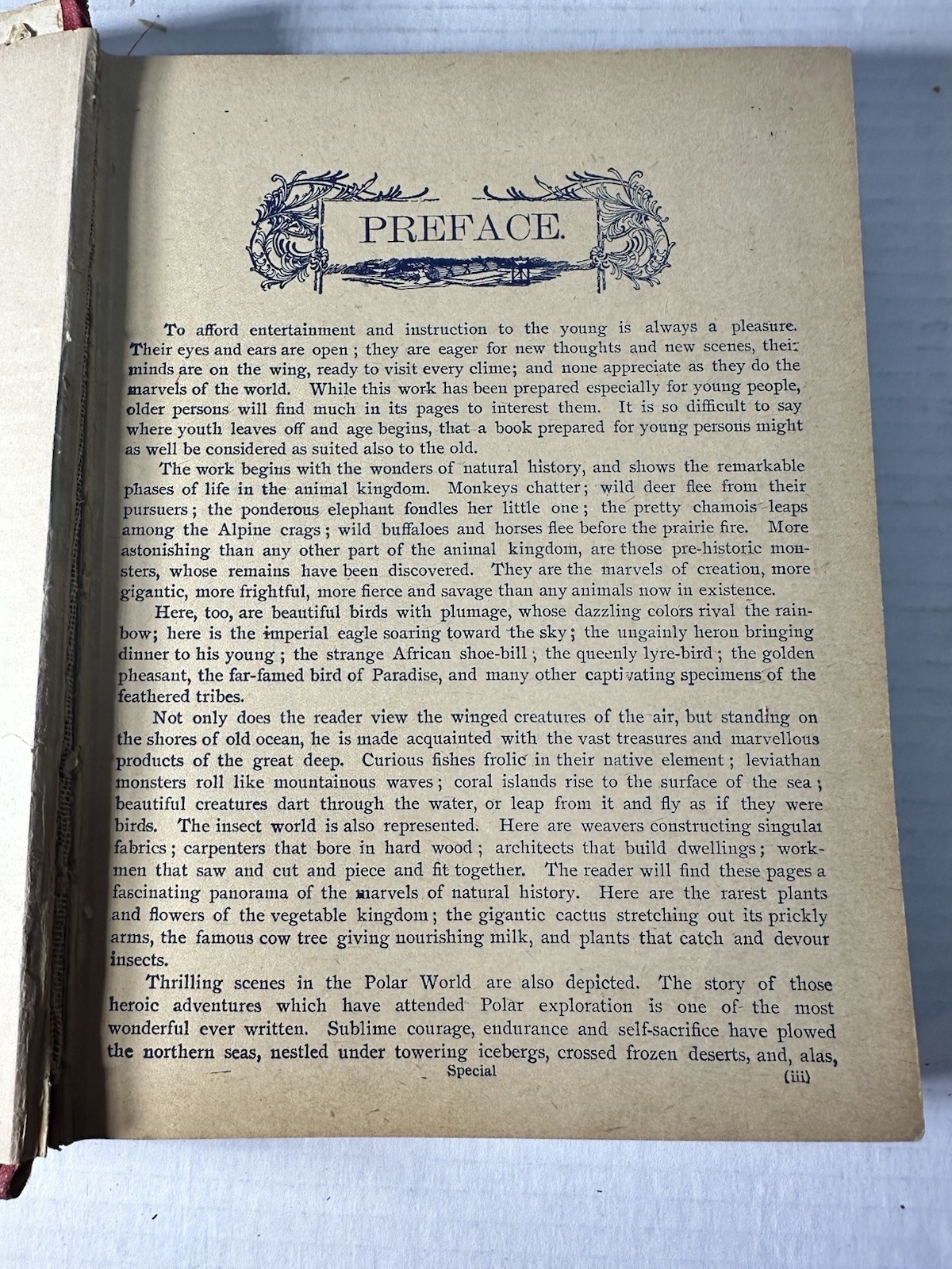 Vintage The King Of The Circus 1902 Book Unknown Publisher And Author 224 Pages